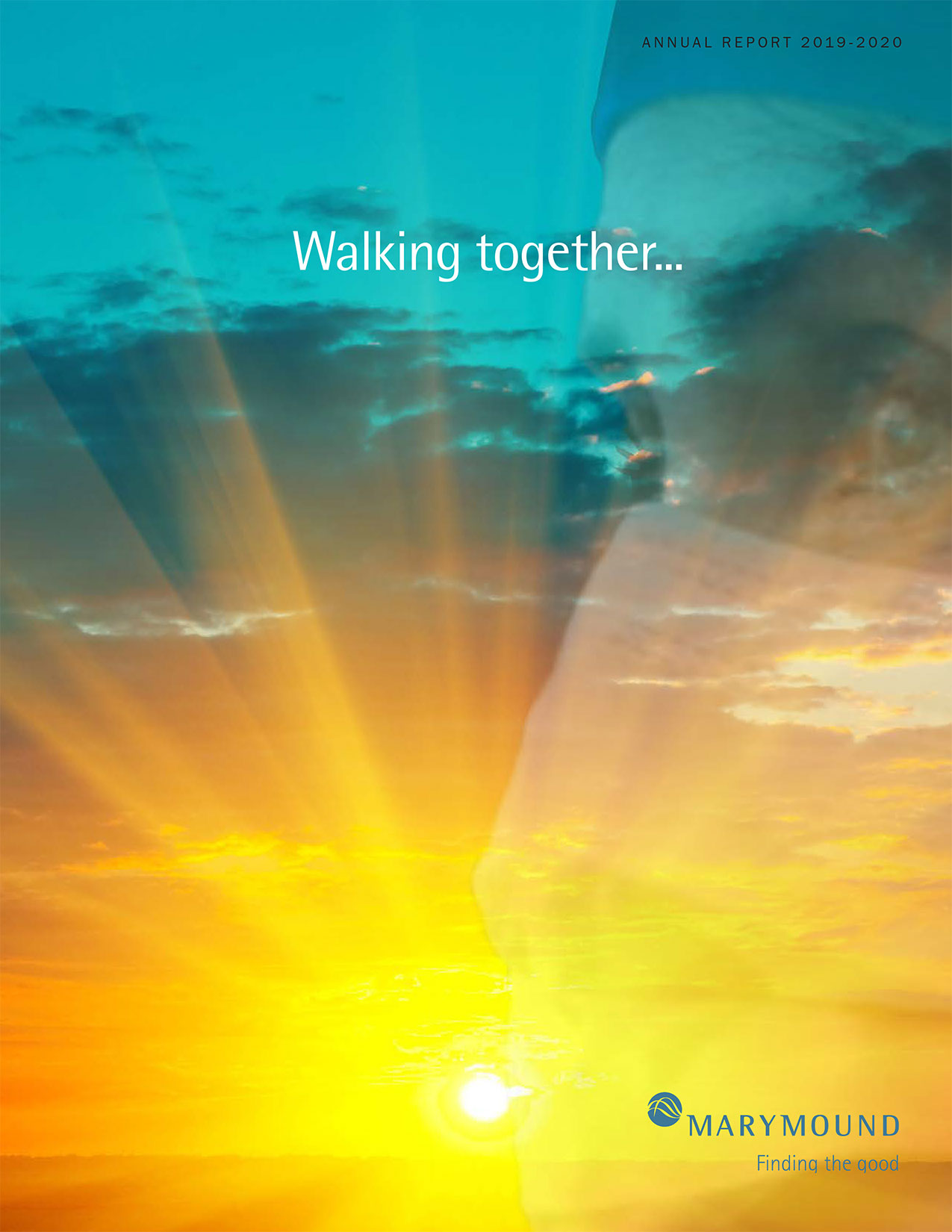 Annual-report-2020FNWEB-1-1